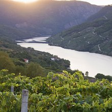 Cañón Sil, Ribeira Sacra Cañón Sil, Ribeira Sacra
