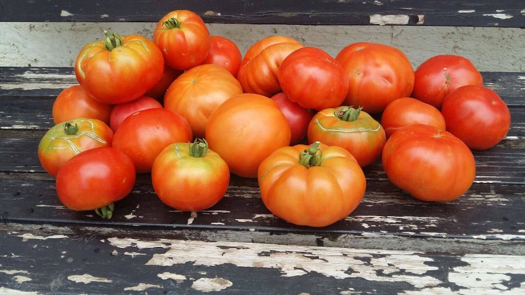 Tomates de La Huerta de Tudela. Foto: Facebook