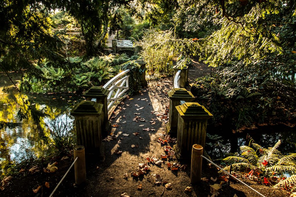 jardin_botanico_de_gijon_foto_david_lopez_alvarez__flickr_con_creative_commons