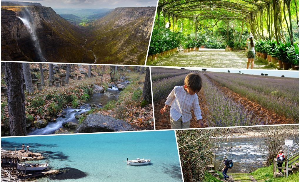 Collage, Día de la Tierra. Collage, Día de la Tierra.