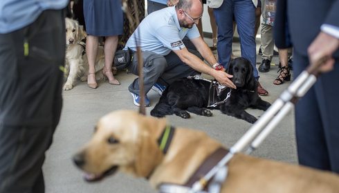 Viajar con perros guía | Guía Repsol Viajar con perros guía | Guía Repsol