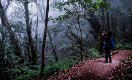 Un recorrido por la mitología de La Gomera | Guía Repsol Un recorrido por la mitología de La Gomera | Guía Repsol