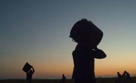 Vendimia, la Mancha Vendimia, la Mancha