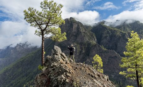El Bosque de los Tilos (La Palma) | Guía Repsol El Bosque de los Tilos (La Palma) | Guía Repsol