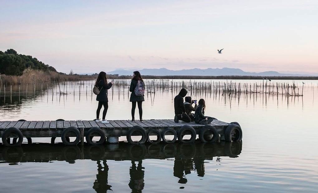 Apertura. La Albufera: Mirador de EL Pujol. Foto: Eva Máñez