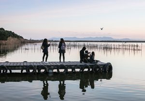 El Parque Natural de la Albufera (Valencia) | Guía Repsol El Parque Natural de la Albufera (Valencia) | Guía Repsol