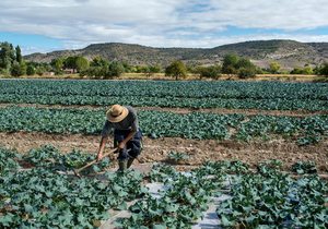 Huerta de Carabaña (Madrid) | Guía Repsol Huerta de Carabaña (Madrid) | Guía Repsol