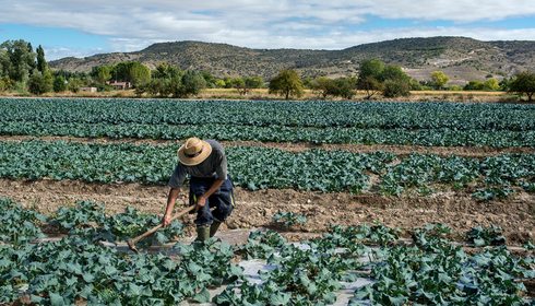 Huerta de Carabaña (Madrid) | Guía Repsol Huerta de Carabaña (Madrid) | Guía Repsol