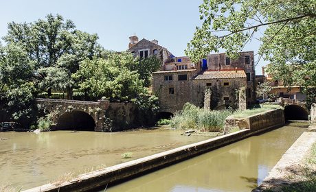 Pals (Ampurdán), el rincón medieval rodeado de arrozales | Guía Repsol Pals (Ampurdán), el rincón medieval rodeado de arrozales | Guía Repsol