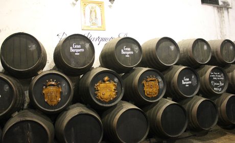 Las bodegas son auténticas catedrales por su quietud y magnificencia Las bodegas son auténticas catedrales por su quietud y magnificencia