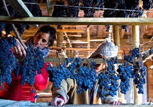 Vino supurao, La Rioja. Foto: Miguel Herreros Vino supurao, La Rioja. Foto: Miguel Herreros