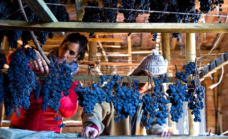 Vino supurao, La Rioja. Foto: Miguel Herreros Vino supurao, La Rioja. Foto: Miguel Herreros