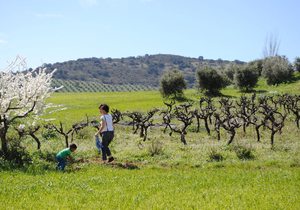Viñas y olivos por el camino. Foto: Mamadú Dabó Viñas y olivos por el camino. Foto: Mamadú Dabó