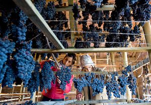 Vino supurao, La Rioja. Foto: Miguel Herreros Vino supurao, La Rioja. Foto: Miguel Herreros