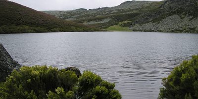 Detalle lago de Truchillas.jpg