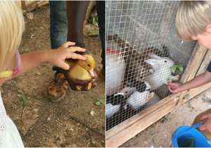 Can Musón (ibiza) granja ecológica para niños | Guía Repsol Can Musón (ibiza) granja ecológica para niños | Guía Repsol