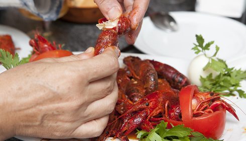Cangrejos rojos guisados, Herrera de Pisuerga Cangrejos rojos guisados, Herrera de Pisuerga