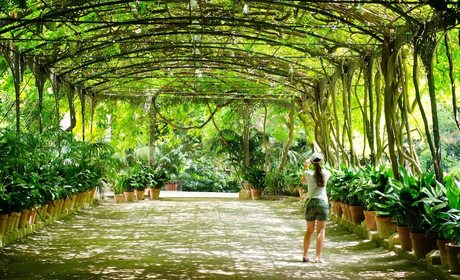 Jardines de España para abrazar la primavera I Guía Repsol Jardines de España para abrazar la primavera I Guía Repsol