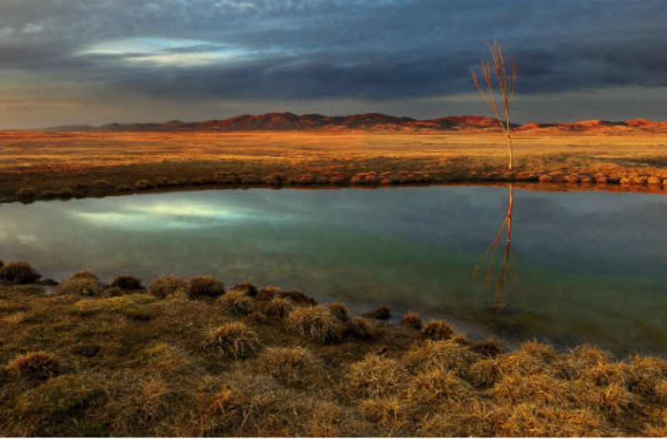 Laguna de Gallocanta. Laguna de Gallocanta.