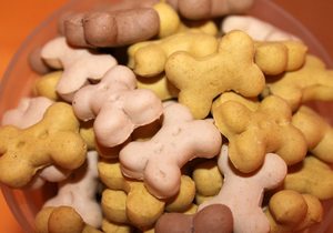 galletas mascota dueña snouts barcelona