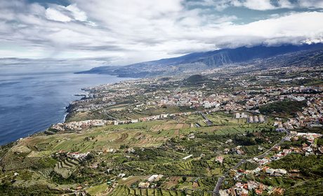 Vinos de Tenerife: Denominaciones de Origen y bodegas | Guía Repsol Vinos de Tenerife: Denominaciones de Origen y bodegas | Guía Repsol