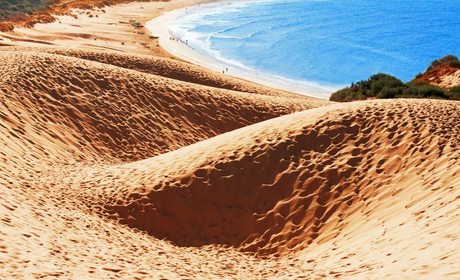 Playas de Cádiz: diez para flipar en verano | Guía Repsol Playas de Cádiz: diez para flipar en verano | Guía Repsol