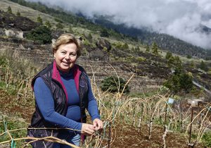 Bodegas Ferrera (Tenerife). Carmen Gloria Ferrera 2. Foto: Roberto Ranero