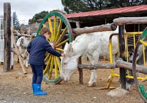 Burrolandia con niños (Tres Cantos, Madrid) | Guía Repsol Burrolandia con niños (Tres Cantos, Madrid) | Guía Repsol