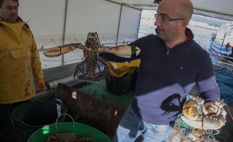 Artesans da Pesca | Guía Repsol Artesans da Pesca | Guía Repsol