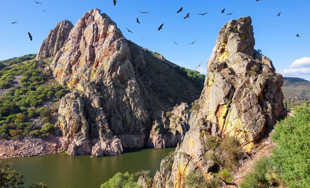 Apertura. Las aves sobrevuelan el Salto del Gitano en el parque nacional Mongragüe. Foto: Shutterstock Las aves sobrevuelan el Salto del Gitano en el parque nacional Mongragüe. Foto: Shutterstock
