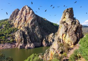 Escapada al Parque Nacional de Monfragüe | Guía Repsol Escapada al Parque Nacional de Monfragüe | Guía Repsol