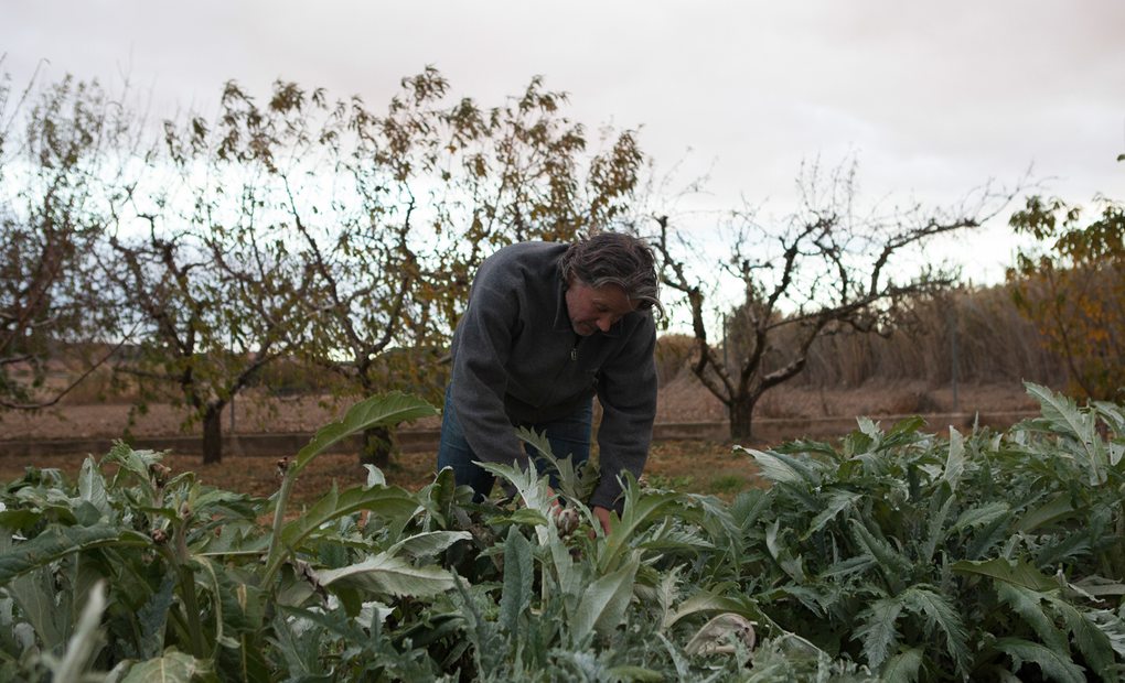 Huerta de Tutela (Navarra). Huerta del 'Trinquete' (4) Foto: Helena Poncini