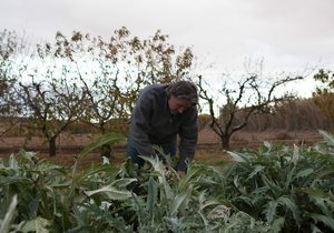 La huerta de Tudela (Navarra) en otoño e invierno | Guía Repsol La huerta de Tudela (Navarra) en otoño e invierno | Guía Repsol