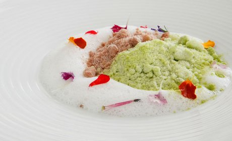 Hierba fresca con helado de foi gras en polvo, Francis Paniego Hierba fresca con helado de foi gras en polvo, Francis Paniego