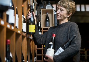 Vinos terroir, Sofía Moro Vinos terroir, Sofía Moro