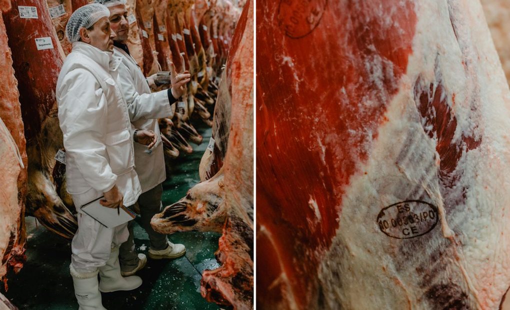Daniel y Luismi Garayar comentan las particularidades de cada res, como la veta de la carne, en el matadero Frigoríficos Bandeira (Pontevedra). Fotos: Nuria Sambade Daniel y Luismi Garayar comentan las particularidades de cada res, como la veta de la carne, en el matadero Frigoríficos Bandeira (Pontevedra). Fotos: Nuria Sambade
