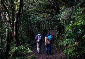 Ruta por los senderos de Anaga (Tenerife) | Guía Repsol Ruta por los senderos de Anaga (Tenerife) | Guía Repsol