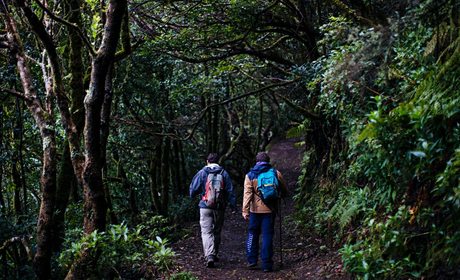 Ruta por los senderos de Anaga (Tenerife) | Guía Repsol Ruta por los senderos de Anaga (Tenerife) | Guía Repsol