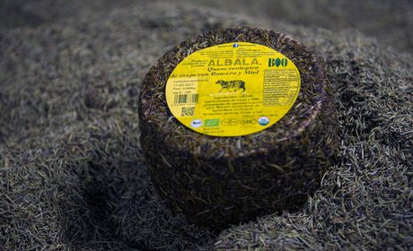 fuentillezjos queso romero y miel06.JPG