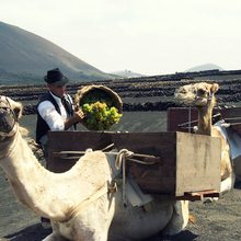 LAGERIA_APERTURA.jpg
