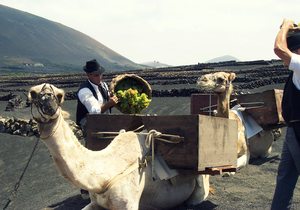 LAGERIA_APERTURA.jpg