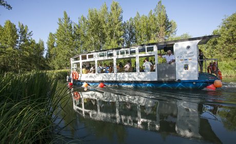 Canal de Castilla, Herrera de Pisuerga (Palencia) | Guía Repsol Canal de Castilla, Herrera de Pisuerga (Palencia) | Guía Repsol