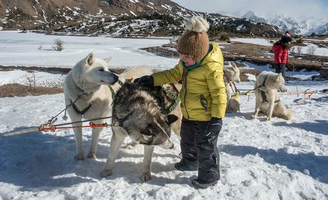 Un paseo en trineo con perros en el Valle de Tena (Huesca) | Guía Repsol Un paseo en trineo con perros en el Valle de Tena (Huesca) | Guía Repsol