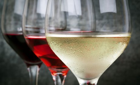 El color del vino lo da el hollejo de la uva El color del vino lo da el hollejo de la uva