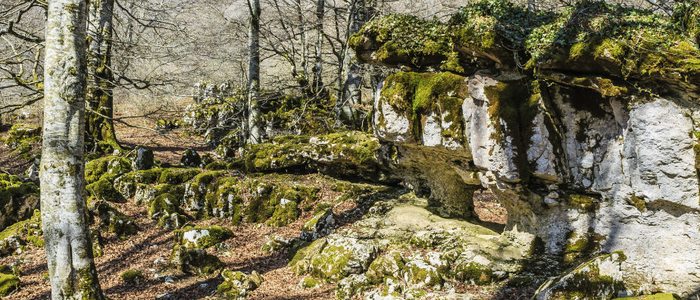 Sierra de Urbasa Sierra de Urbasa
