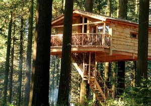 Hontza Cabin, 10 meters off the ground Hontza Cabin, 10 meters off the ground
