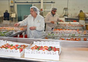 Frutas confitadas, glaseadas y escarchadas 'Francisco Moreno' (Calahorra, La Rioja) | Guía Repsol Frutas confitadas, glaseadas y escarchadas 'Francisco Moreno' (Calahorra, La Rioja) | Guía Repsol