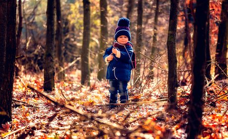 Bosques y niños Bosques y niños
