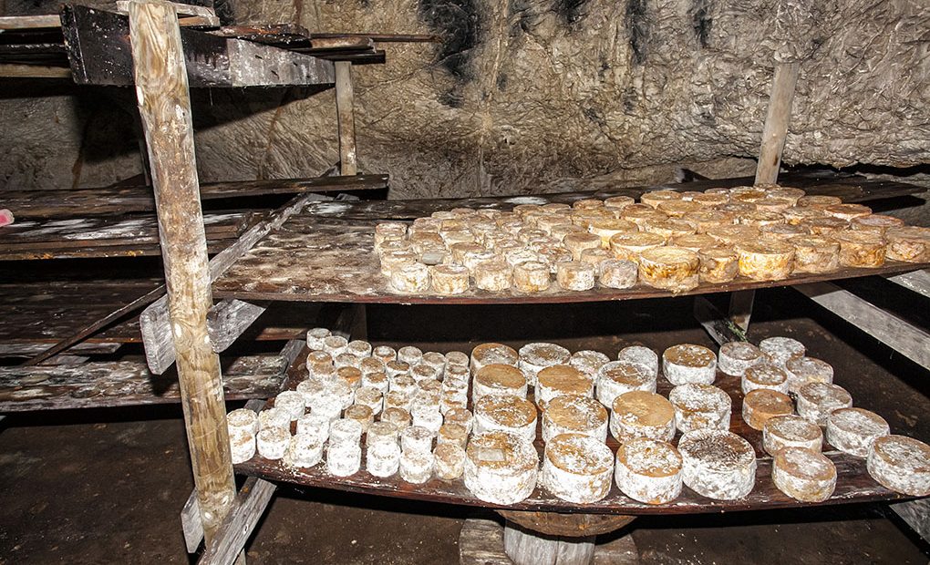 Queso Picón Bejes-Tresviso: Cueva La Sotorraña -quesos-. Foto: José García