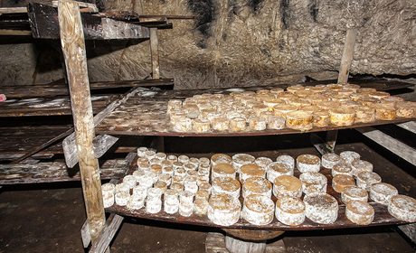 Queso Picón Bejes-Tresviso: Cueva La Sotorraña -quesos-. Foto: José García